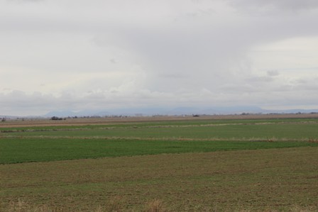 Karapınar'da yağışlar yüz güldürdü
