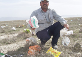 Çöpteki poşetleri yiyen koyunlar ölüyor