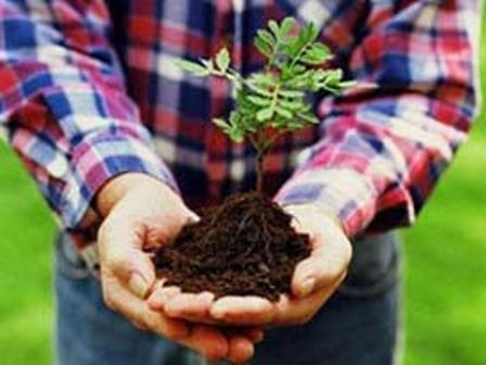 Karapınar'da 150 fidan dikildi