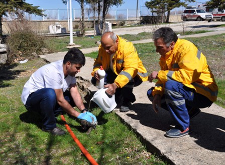 Sağlıkçılar bu kez yavru köpeği kurtardı