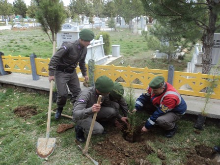 Jandarmadan şehitler anısına fidan