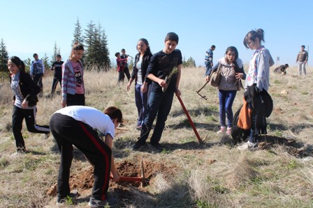 Beyşehir’de ağaç bayramı