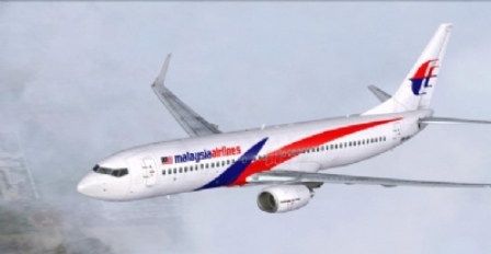 Malezya Havayolları'na ait uçağın düşmesi