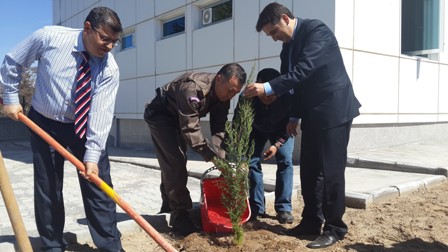 Beyşehir Kaymakamı fidan dikti