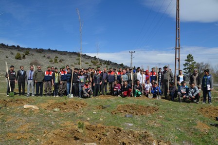 Her şehit için bir fidan