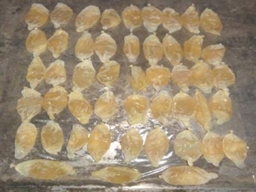 İran'da Uyuşturucudan 3 Bin Kişi Öldü