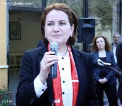 TBMM Başkanvekili Akşener: "Ülkem adına endişem artmıştır"