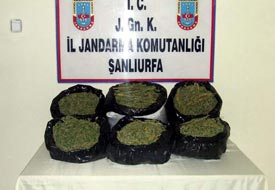 16 kilo esrar ele geçirildi