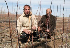 Akkise beldesinde fidan dağıtıldı