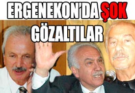 Alemdaroğlu, Perinçek ve Selçuk'a gözaltı
