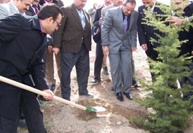 Ağaçlandırmada meyveli ağaçlar dikilsin