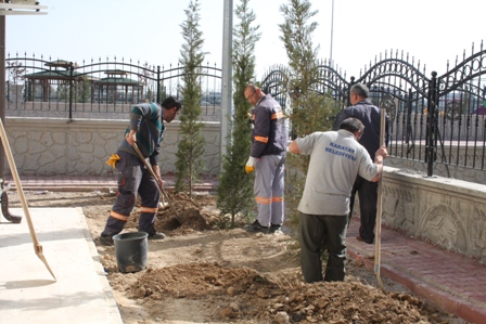 Sevgi evleri ağaçlandırılıyor