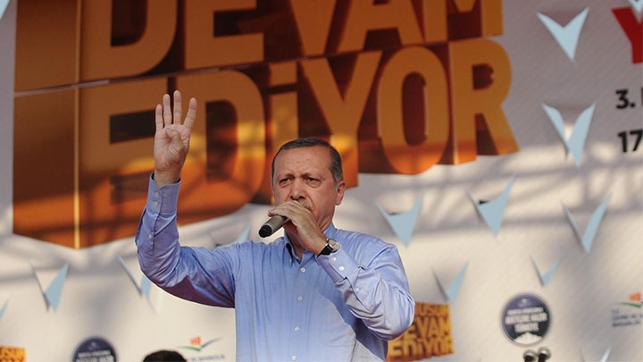 'BAŞBAKAN ERDOĞAN İSTERSE KESİN ÇIKAR'