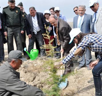 Konya'da "Ağaç Dikme Şenliği"