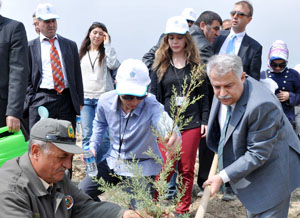 Necmettin Erbakan Üniversitesi Kampüs Alanında Ağaç Dikim Şenliği