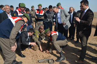 Cihanbeyli'de jandarma fidan dikti