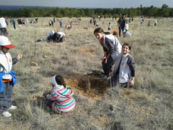 Özel Armağan Koleji ağaç dikti