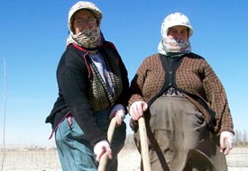 Karapınar'da kadınlar erozyonla savaşıyor