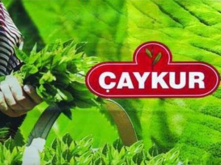 ÇAYKUR'da yaş çay bedeli ödemeleri