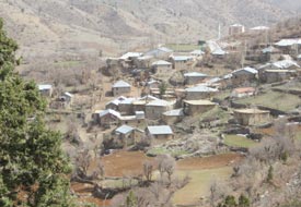 Muhtar görevinden istifa etti