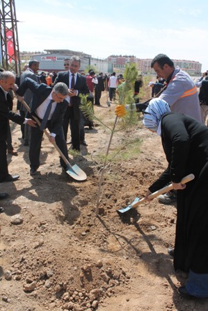 Karatay’da fidanlar toprakla buluştu