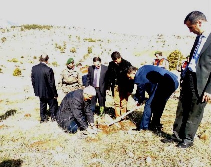 Derebucak Kaymakamı Ay, fidan dikti