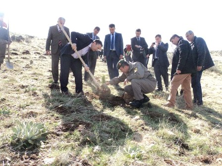 Derebucak'ta çam fidanları toprakla buluşturuldu