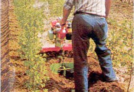 Ayağını çapa makinesine kaptırdı