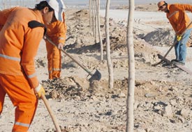 Kapanacak belediyeden hatıra ormanı