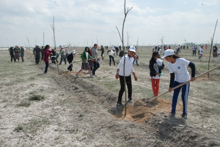 Karatay'da 2500 ağaç dikildi