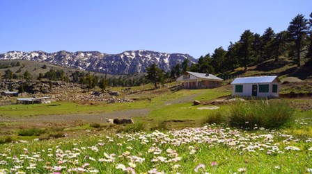 Seydişehir'de yaylalara bahar geldi