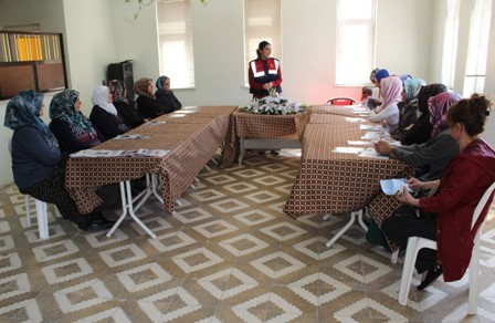 Jandarma, aile içi şiddete karşı kadınları bilgilendiriyor