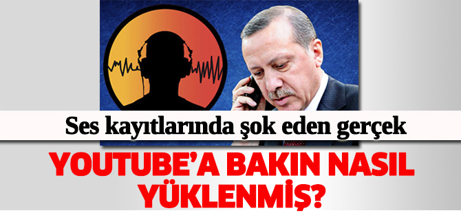 30 kişilik böcek çetesi