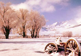 50 yıl önceki bir kar kırmızılığı