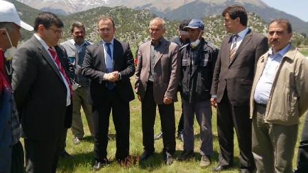 Beyşehir'de çekirgeyle mücadele