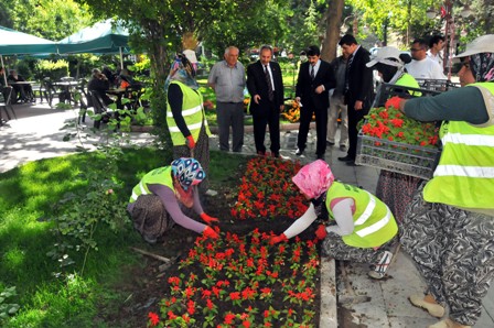 Akşehir çiçeklerle güzelleşiyor