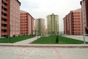 Binanızın nüfus cüzdanı var mı?