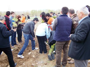 250 fidan toprakla buluştu