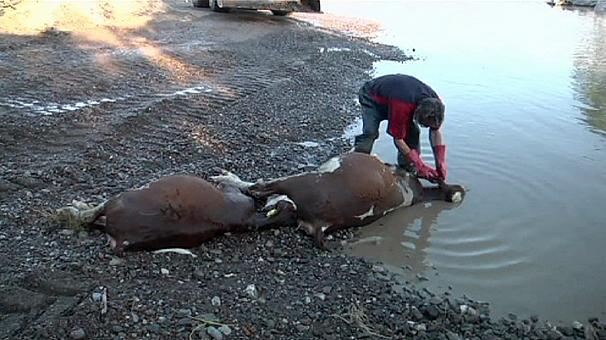 Bosna Hersek'te şimdi de kuraklık tehlikesi