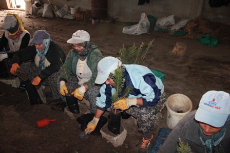 Seydişehir Orman Fidanlık, kadınlarla üretiyor