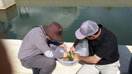 Beyşehir'de sinekle mücadele çalışmaları hız kazandı