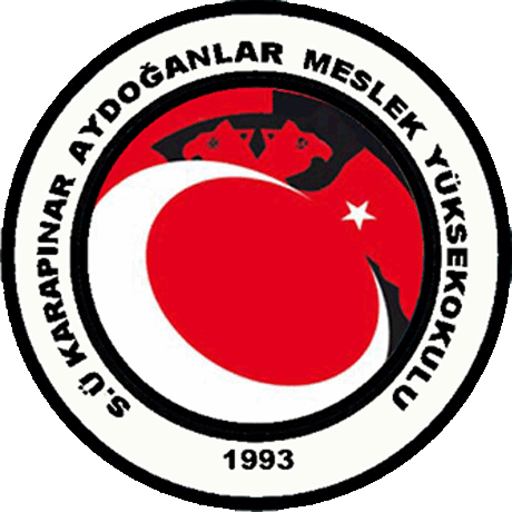 Karapınar MYO'da mezuniyet sevinci