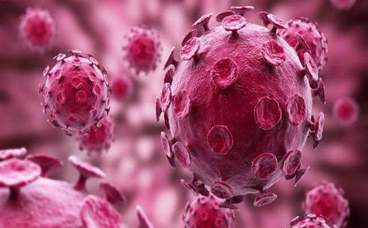 MERS virüsü nedir nasıl yayılır?