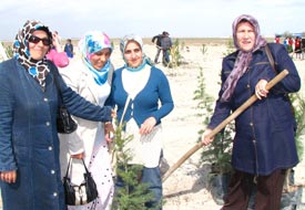 Ereğli'de çöp alanı orman oldu