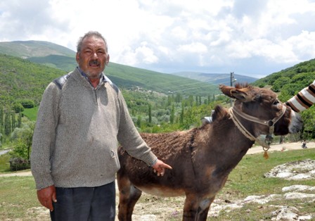 Eşeğinin bıçaklandığı iddiasıyla jandarmaya başvurdu