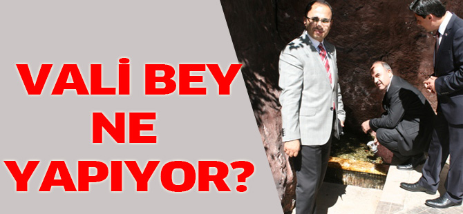 Vali Bey ne yapıyor