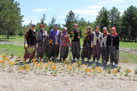 Karapınar kadınların eliyle çiçeklerle donatılıyor