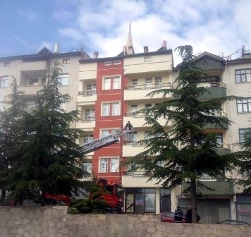 Saçağa takılan kuşu itfaiye kurtardı