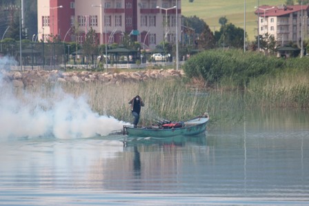 Beyşehir'de sinekle mücadele hız kazandı
