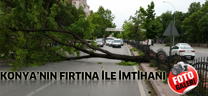 Şiddetli Rüzgar YIKTI GEÇTİ